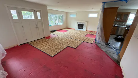 Red carpet and fireplace before work