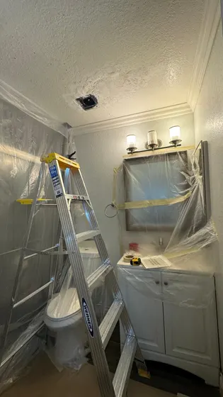 Bathroom work with ladder