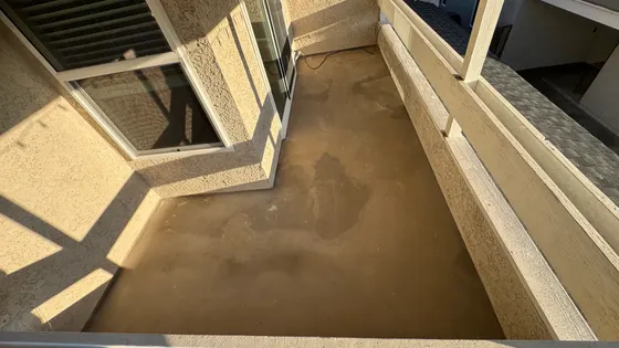 Courtyard before cleaning
