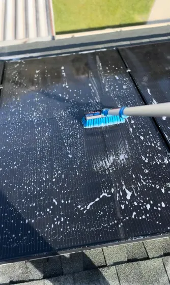 Carpet preparation or removal detail