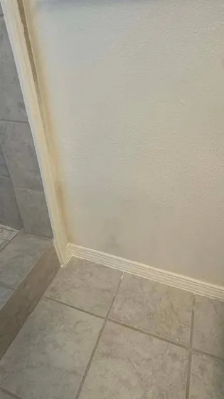 IMG_8487-75bb3aa8de.jpg